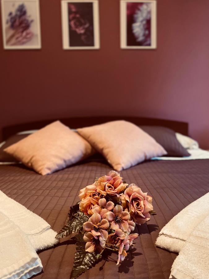Dreams In Rome - Colosseum Apartment Luaran gambar